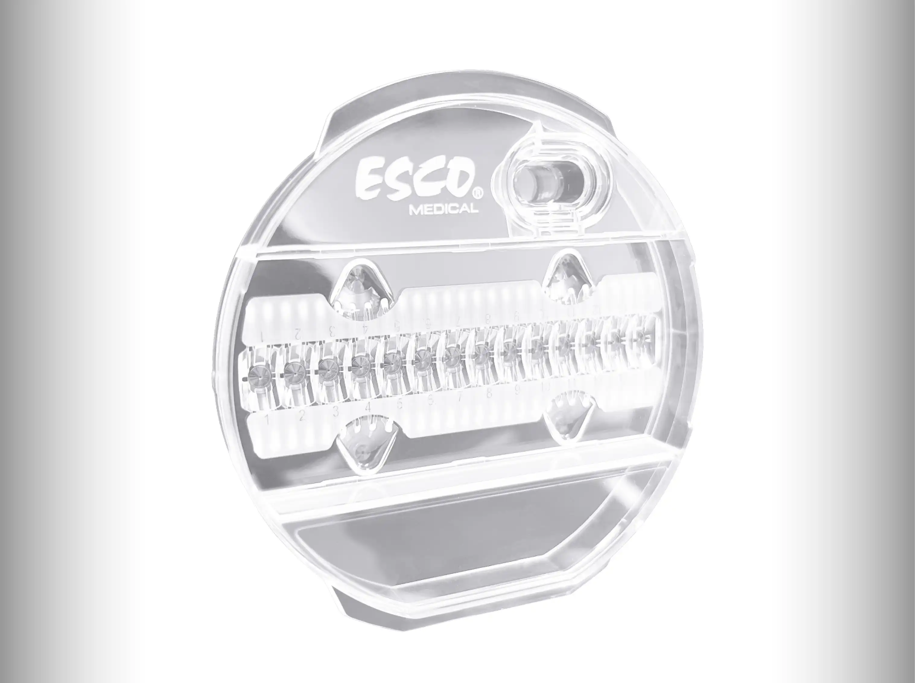 In Vitro Fertilization (IVF) | Jordan